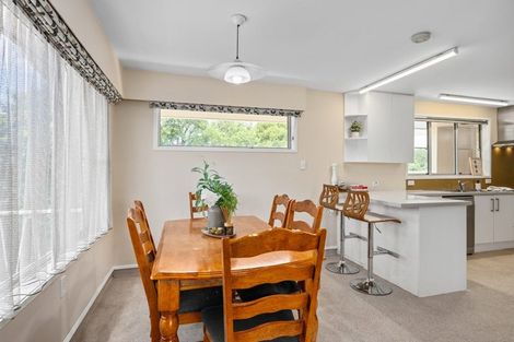 Photo of property in 41 Dillon Street, Blenheim, 7201