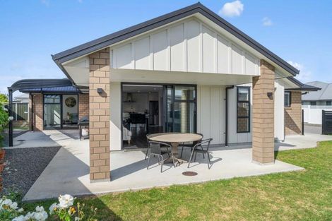 Photo of property in 3 Cotula Way, Papamoa Beach, Papamoa, 3118