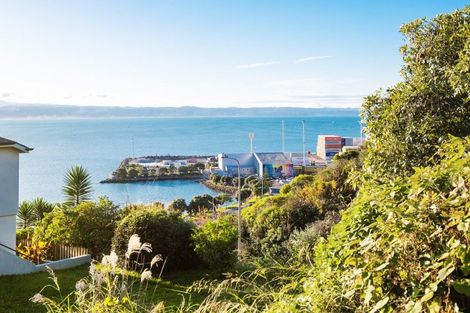 Photo of property in 39 Seapoint Road, Bluff Hill, Napier, 4110