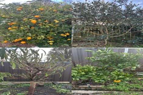 Photo of property in 65 Massey Street, Kawerau, 3127