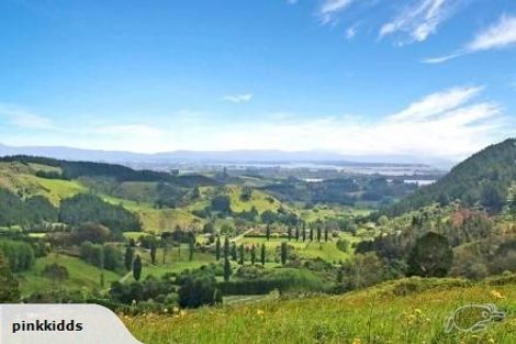 Photo of property in 415 Rocky Cutting Road, Waitao, Tauranga, 3175