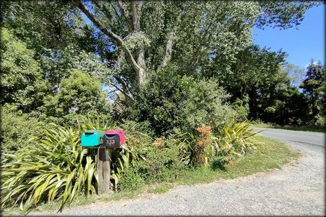 Photo of property in 333 Palmer Mill Road, Wairakei, Taupo, 3384