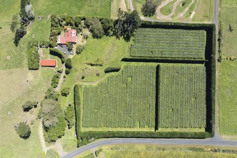 Photo of property in 250 Taurangaruru Road, Karioitahi, Waiuku, 2683