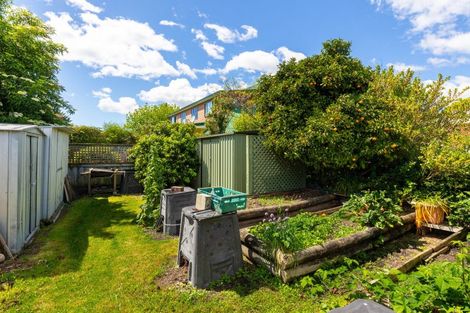 Photo of property in 225 Redwood Street, Witherlea, Blenheim, 7201