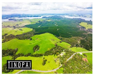 Photo of property in 1509 Tinopai Road, Tinopai, Matakohe, 0593