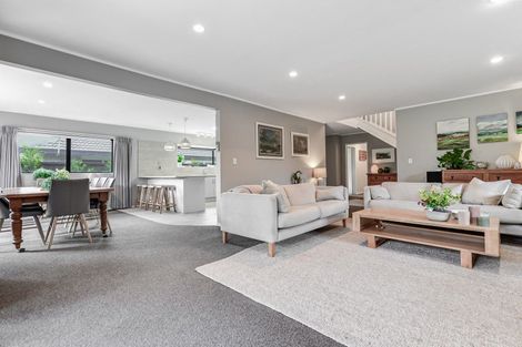 Photo of property in 17 Cherrywood Street, Pukete, Hamilton, 3200