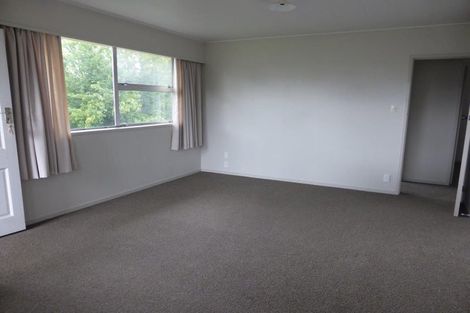Photo of property in 41b Collingwood Street, Judea, Tauranga, 3110
