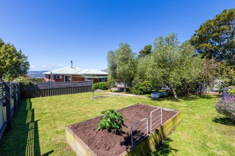 Photo of property in 19 Cuba Street, Calton Hill, Dunedin, 9012