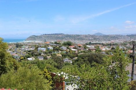 Photo of property in 41 Tomahawk Road, Andersons Bay, Dunedin, 9013