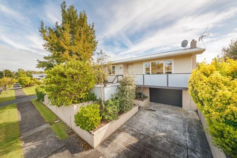 Photo of property in 42 Norrie Street, Feilding, 4702