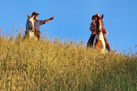 Photo of property in 964 Tarata Road, Kaimata, 4387