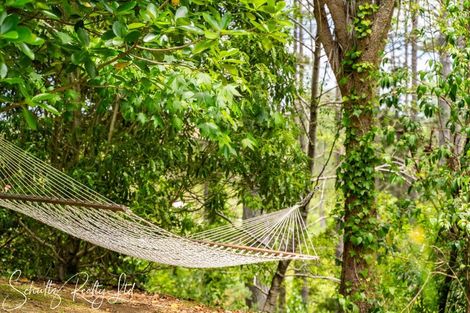 Photo of property in 3251 Paparoa-oakleigh Road, Paparoa, 0571