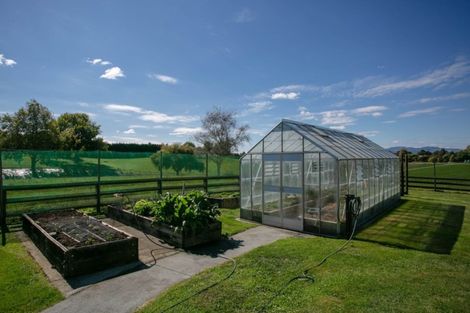 Photo of property in 69 Saint Leger Road, Te Awamutu, 3875