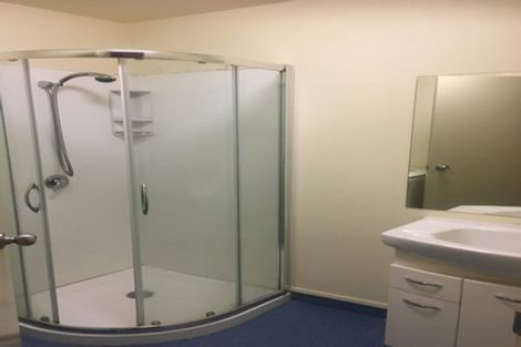 Photo of property in Basin Reserve Complex, 13/4 Sussex Street, Mount Cook, Wellington, 6021