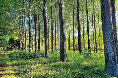 Photo of property in 6 Bedggood Road, Waima, Kaikohe, 0473