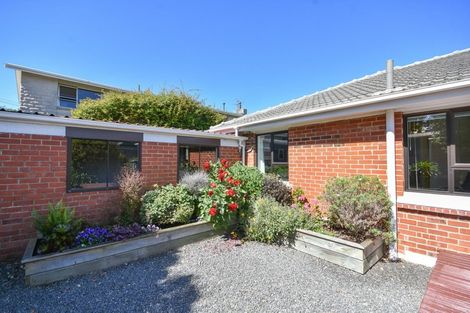 Photo of property in 39 Archibald Street, Waverley, Dunedin, 9013