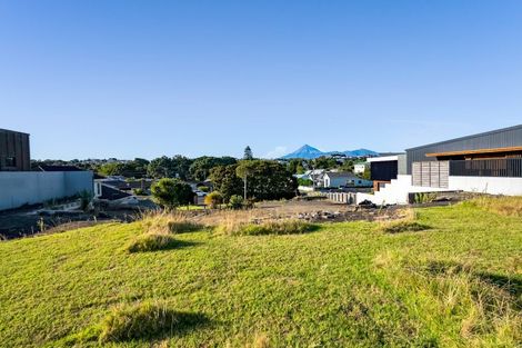 Photo of property in 38 Birdwood Avenue, Moturoa, New Plymouth, 4310