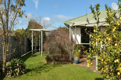 Photo of property in 6 Hinton Place, Pyes Pa, Tauranga, 3112