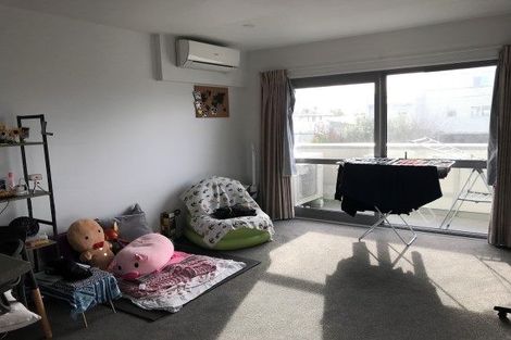 Photo of property in 463 Barbadoes Street, Edgeware, Christchurch, 8013