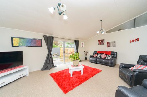 Photo of property in 147 Stanford Street North, Ashhurst, 4810