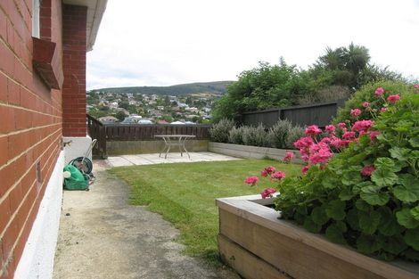 Photo of property in 46a Walton Street, Kaikorai, Dunedin, 9010