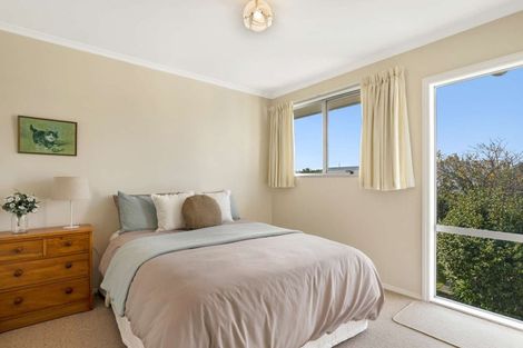 Photo of property in 59 Houldsworth Street, Blenheim, 7201