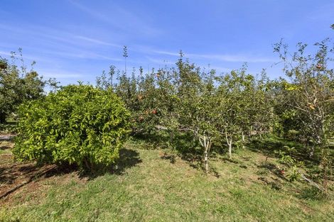 Photo of property in 11 Somerset Lane, Raglan, 3295