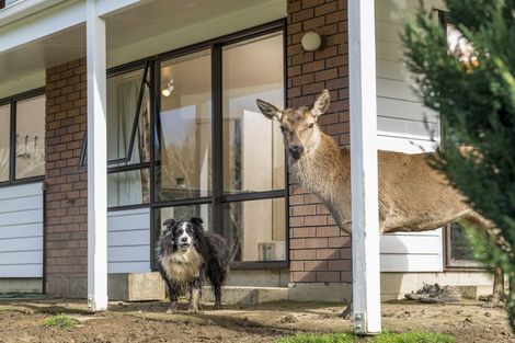 Photo of property in 314 Foster Road, Waimauku, Kumeu, 0891