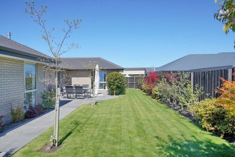 Photo of property in 31 Carmichael Street, Rangiora, 7400