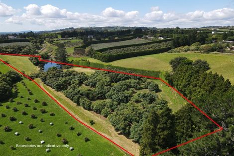 Photo of property in 342 Youngson Road, Whakamarama, Tauranga, 3179