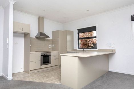 Photo of property in 45a Trafalgar Street, Dannevirke, 4930