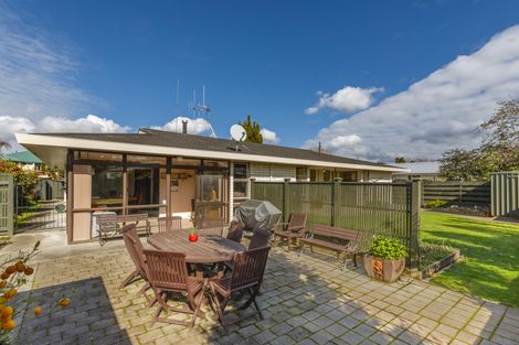 Photo of property in 19 Opawa Place, Terrace End, Palmerston North, 4410