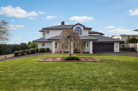 Photo of property in 79 Fifth Avenue, Tauranga, 3110