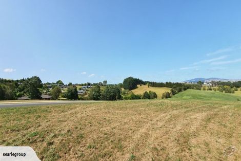 Photo of property in 161 Saint Leger Road, Te Awamutu, 3875