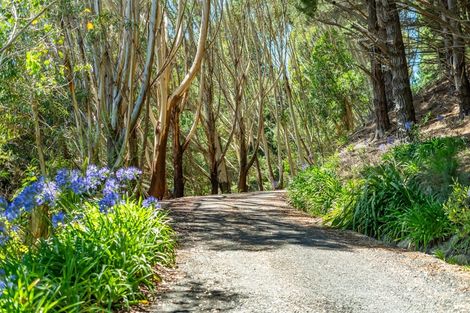Photo of property in 162 Murphys Road, Judgeford, Porirua, 5381
