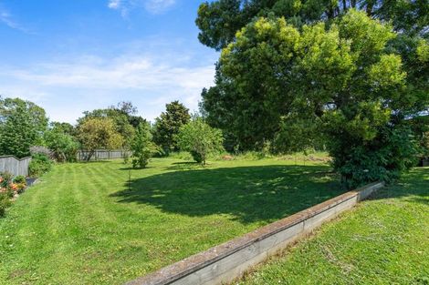 Photo of property in 29 Oxford Street, Lansdowne, Masterton, 5810