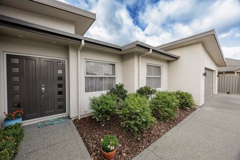 Photo of property in 48 Merlot Drive, Greenmeadows, Napier, 4112