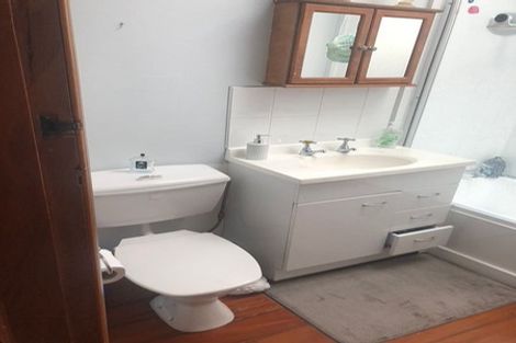 Photo of property in 19 Priscilla Crescent, Mornington, Wellington, 6021