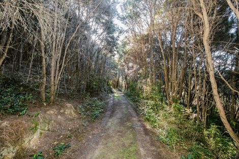 Photo of property in 24 Duncan Road, St Andrews, Hamilton, 3200