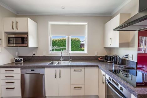 Photo of property in 44 Franklin Avenue, Hokowhitu, Palmerston North, 4410