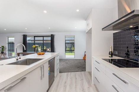 Photo of property in 38 Owhiro Avenue, Mosgiel, 9024