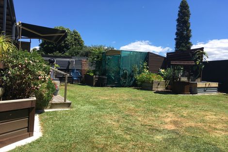 Photo of property in 210 Heaphy Street, Te Awamutu, 3800