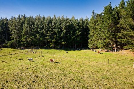 Photo of property in 8p Davaar Road, Greta Valley, 7387