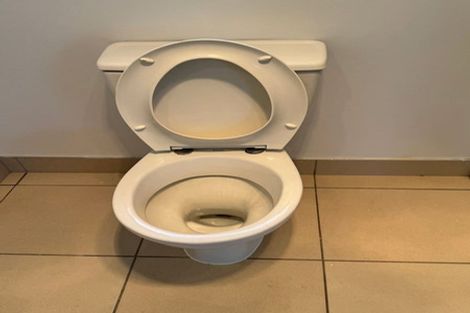 Photo of property in 41 Breaker Grove, Waiuku, 2123