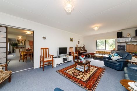 Photo of property in 101 Lincoln Street, Ashhurst, 4810