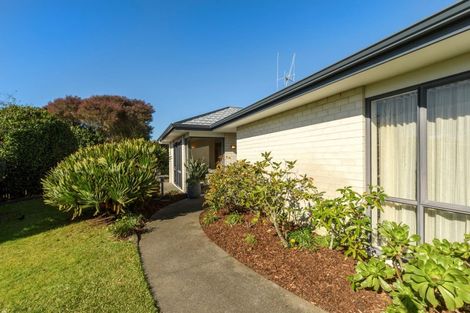 Photo of property in 168 Gloucester Road, Mount Maunganui, 3116