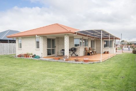 Photo of property in 41 Benner Drive, Ngatea, 3503