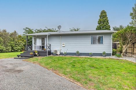 Photo of property in 45 Green Avenue, Levin, 5510