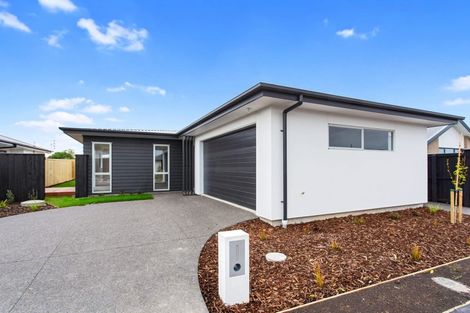 Photo of property in 19 Fauna Street, Halswell, Christchurch, 8025