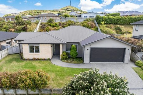 Photo of property in 17 Kaimai Place, Aotea, Porirua, 5024
